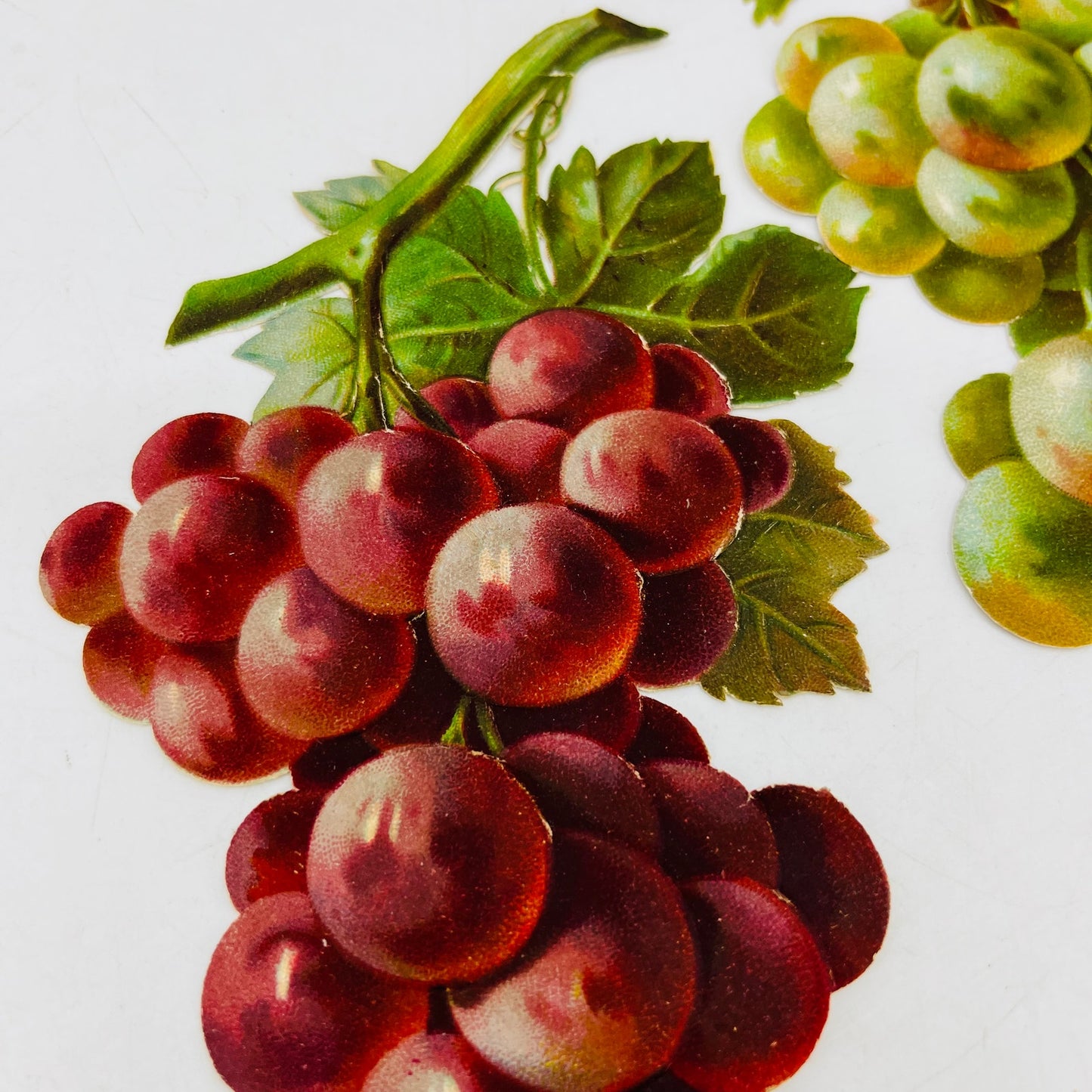 1880s LARGE Victorian Die Cut Red and Green Grapes Set 5 1/2” Each SAH9-H7