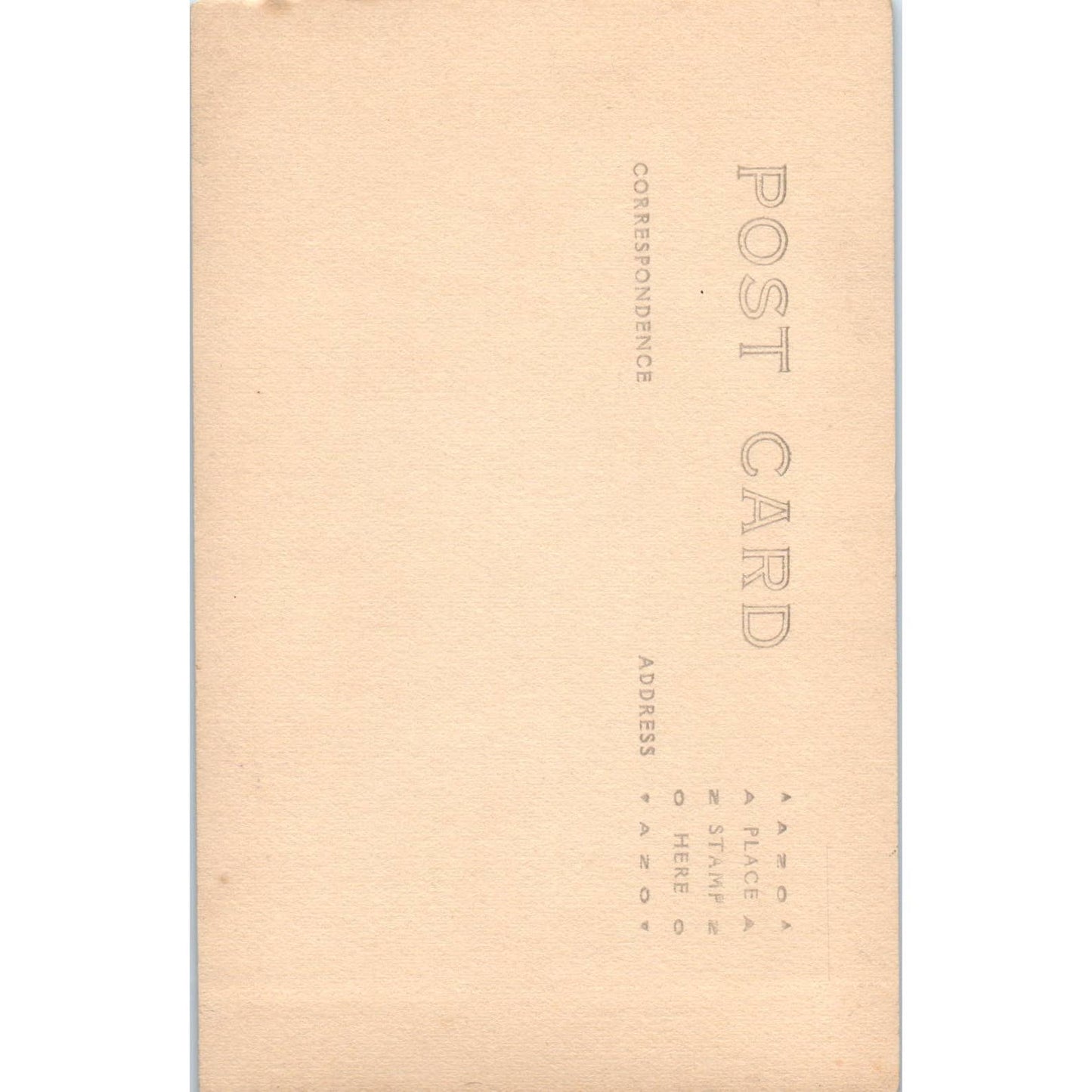 Antique Postcard Wildflowers of Rainier National Park Washington TD9