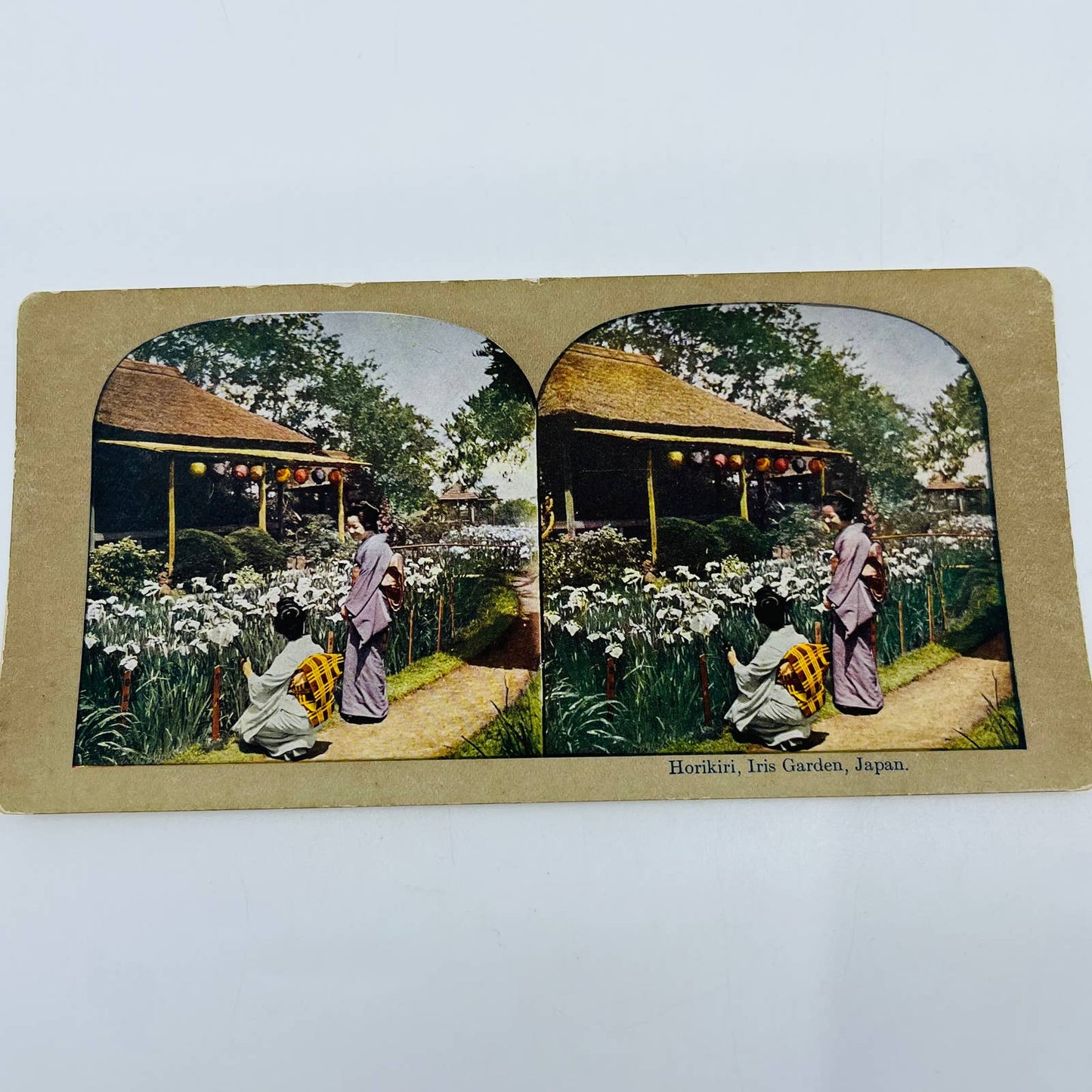 c1900 Stereoview Card Japanese Women in Horikiri Iris Garden Japan