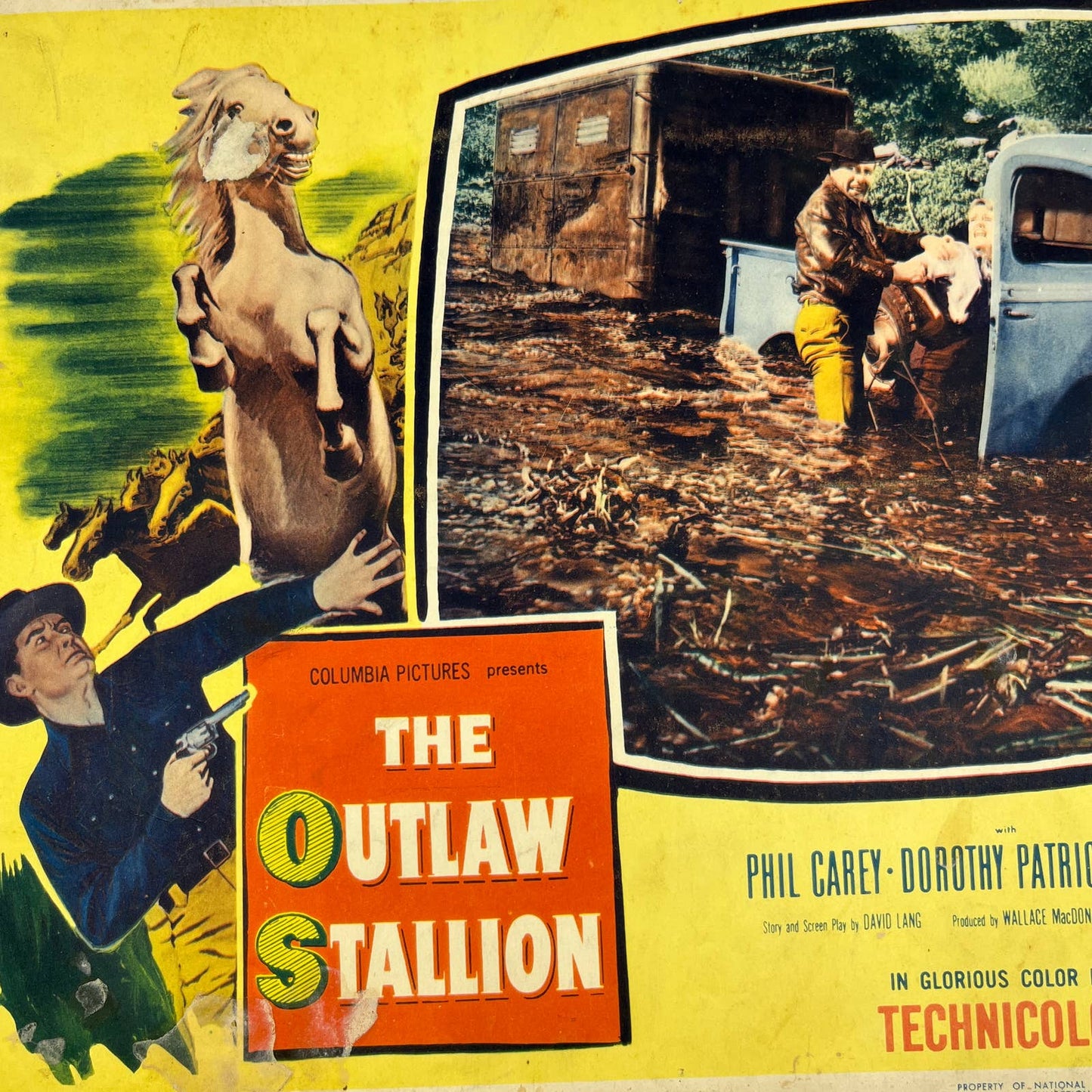 1954 The Outlaw Stallion Lobby Card Phil Carey Dorothy Patrick Billy Gray FL3