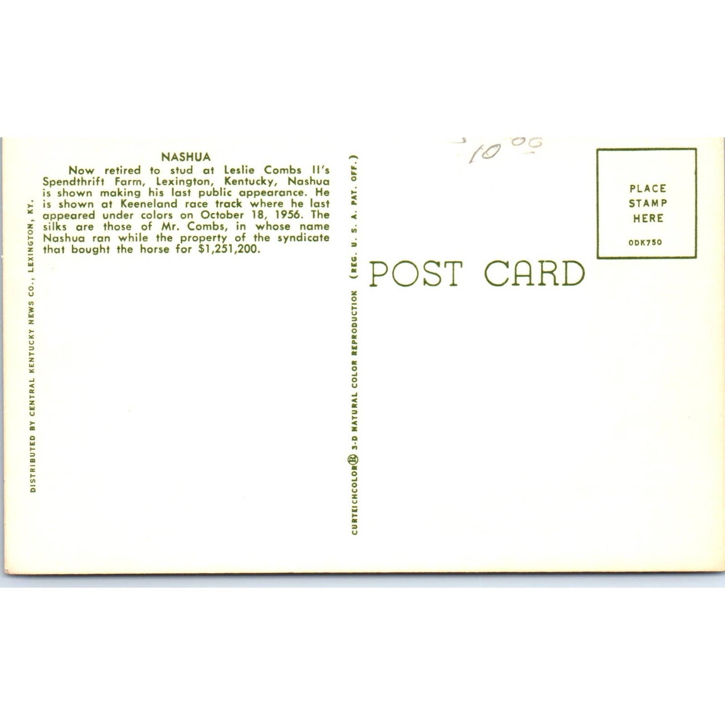 Nashua Spendthrift Farm Lexington KY Horse Racing Original Postcard TK1-23