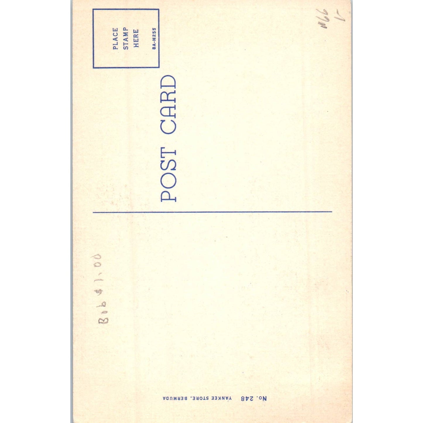 The Cathedral (Church of England) Bermuda Original Postcard TK1-P13