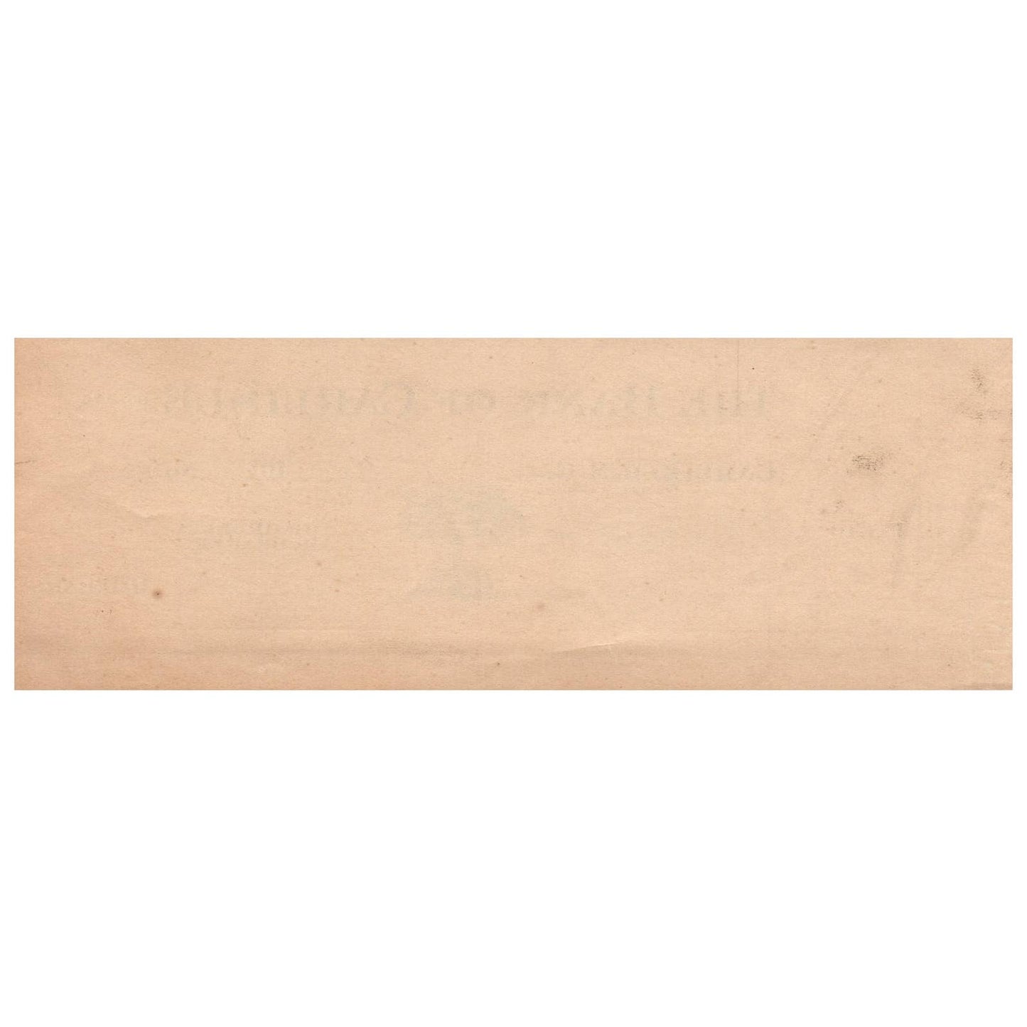 1910s The Bank of Carlisle South Carolina Blank Check SE4