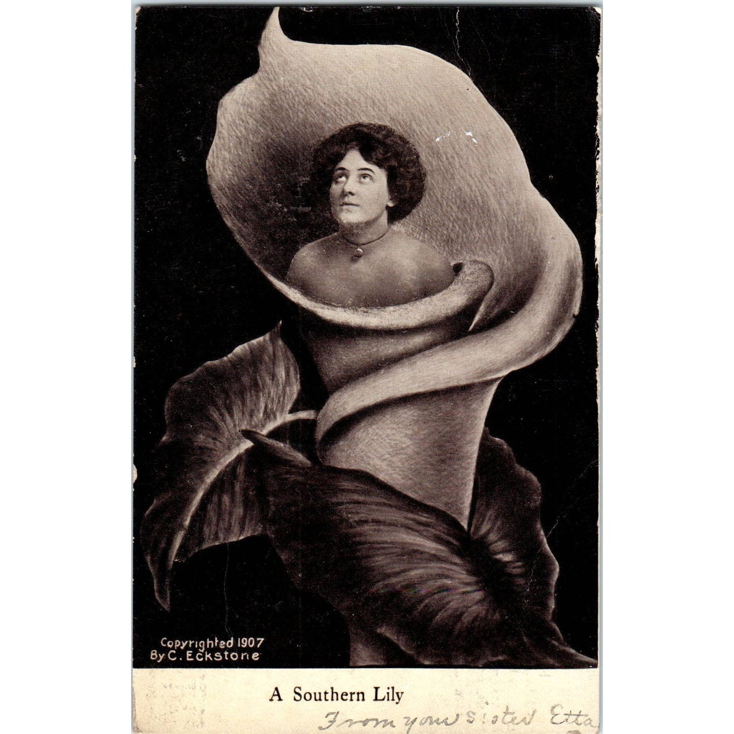Southern Lily Face in Flower C. Eckstone 1907 Original Postcard TK1-27