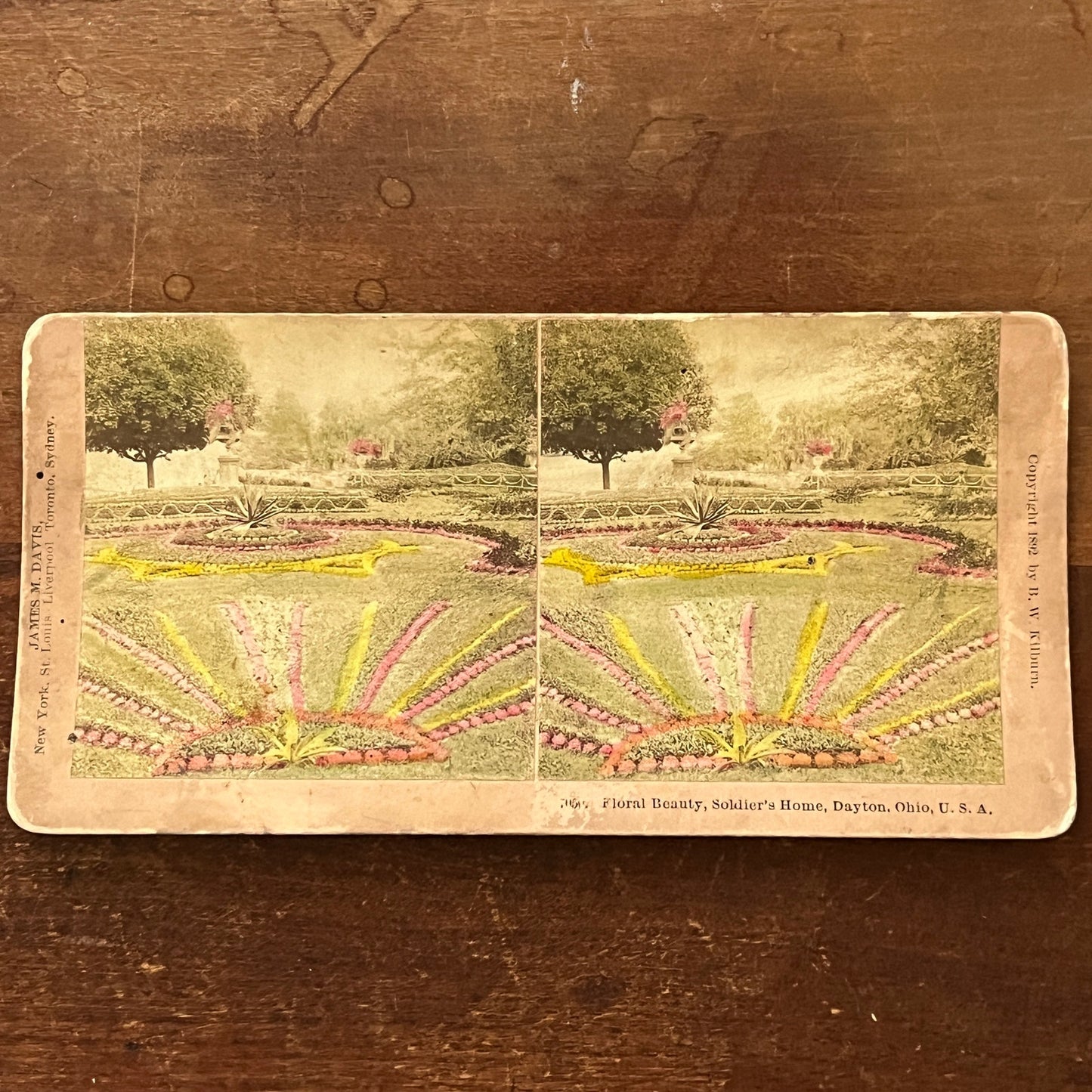 Floral Beauty Soldier's Home Dayton OH Tinted 1892 Antique Stereoview H2-6