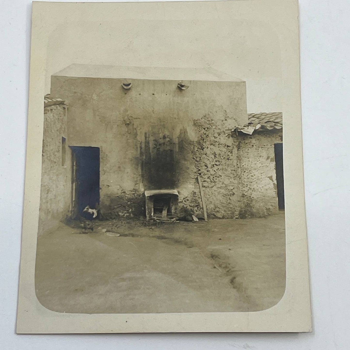 1903 Original Photo Sulfer House Drying & Coloring Las Vigas Veracruz Mexico AC7