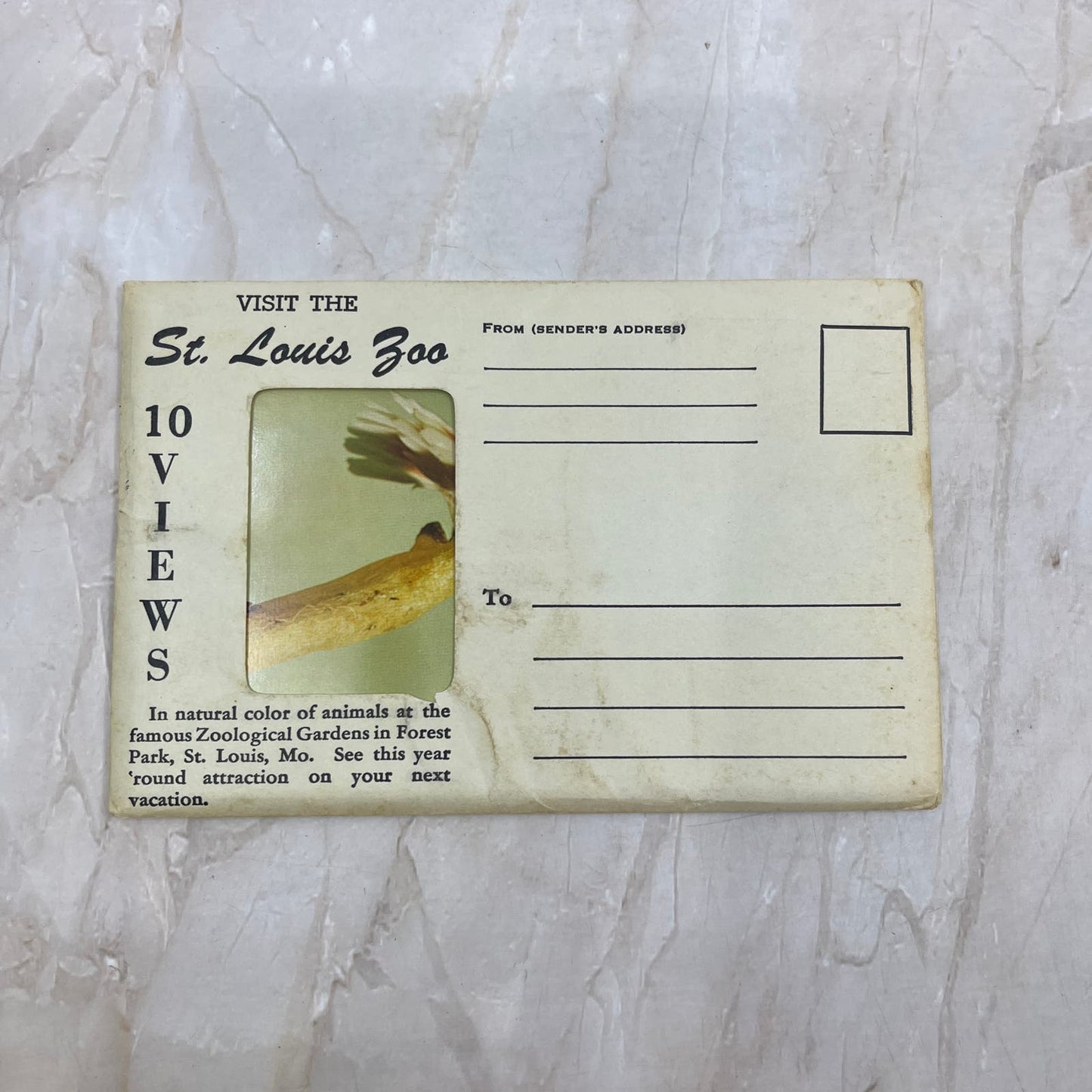 Visit the St. Louis Zoo Vintage Souvenir Folder Book Postcards TI8-S2