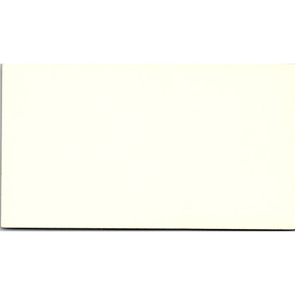 Esch and Associates Inc. Ron Lyon Houston Texas Vintage Business Card SB4-B2