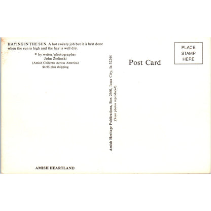 Amish Farmers Haying in the Sun Pennsylvania Dutch Country Postcard PD8