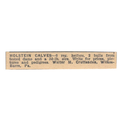 Walter M. Cruttenden Holstein Calves Wilkes-Barre PA 1922 Magazine Ad AF2-T1