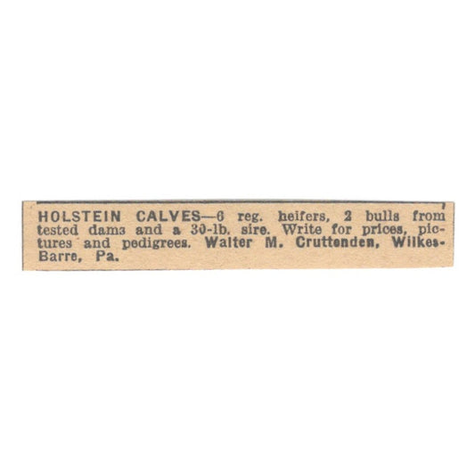 Walter M. Cruttenden Holstein Calves Wilkes-Barre PA 1922 Magazine Ad AF2-T1