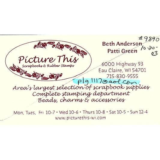 Picture This Beth Anderson Pati Green Eau Claire WI Vintage Business Card SC9-B9