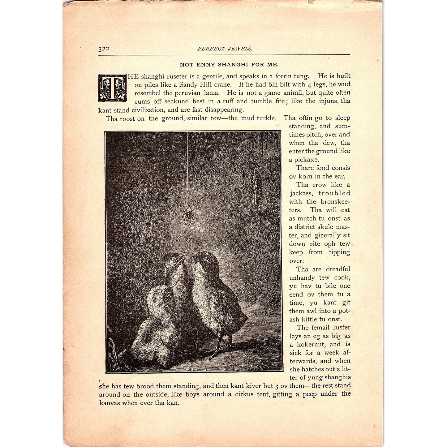 Not Enny Shanghi For Me - Josh Billings 2 Pages 1884 Poem TA5-CJ-6