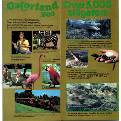 1980s Orlando Florida Gatorland Zoo Fold Out Travel Brochure TF4-BA