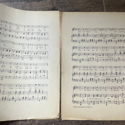 Will the Roses Bloom in Heaven Chas. K. Harris 1911 Sheet Music V13