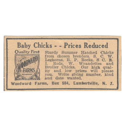 Woodward Farms Baby Chicks Lambertville NJ 1922 Magazine Ad AF2-T5