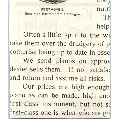 Hop Plaster Company Boston Grasshopper c1890 Victorian Ad AE8-CH10