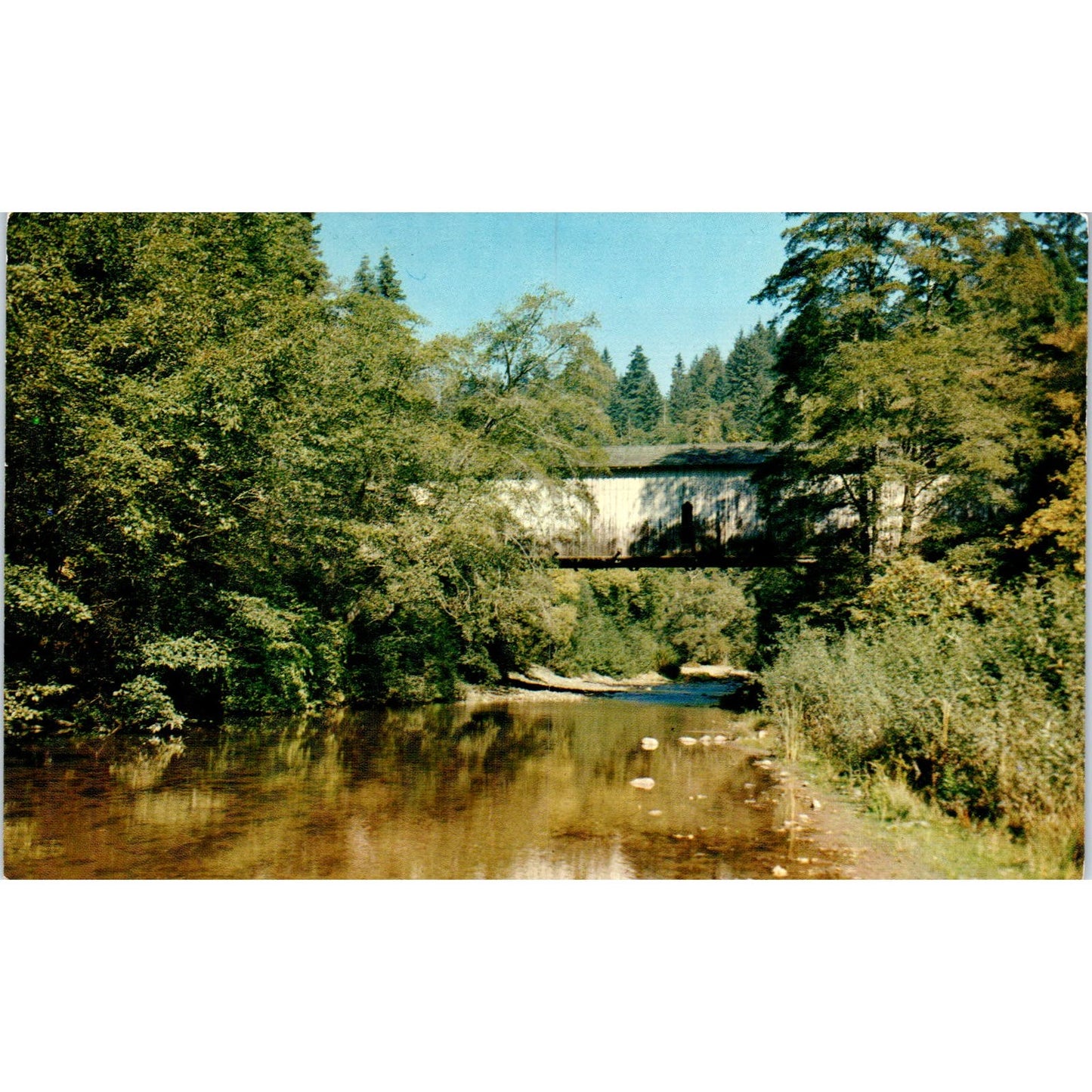 Covered Bridge at Paradise Park Santa Cruz Vintage Covered Bridge Postcard PC13