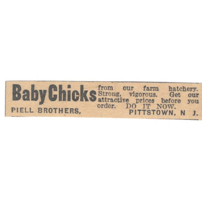 Piell Brothers Baby Chicks Pittstown NJ 1922 Magazine Ad AF2-T1