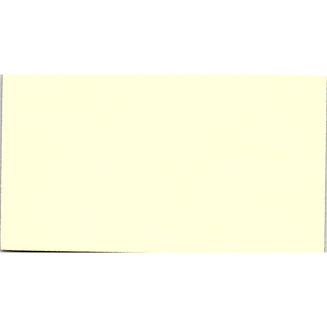 Lisa Bartsch North Channel Travel Houston Vintage Business Card SD9-B7