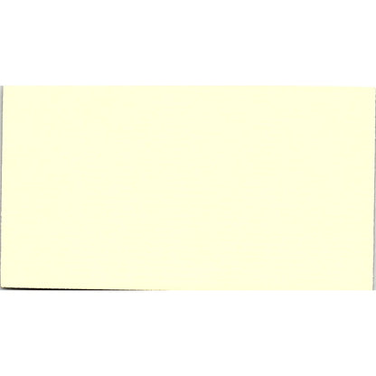 Lisa Bartsch North Channel Travel Houston Vintage Business Card SD9-B7