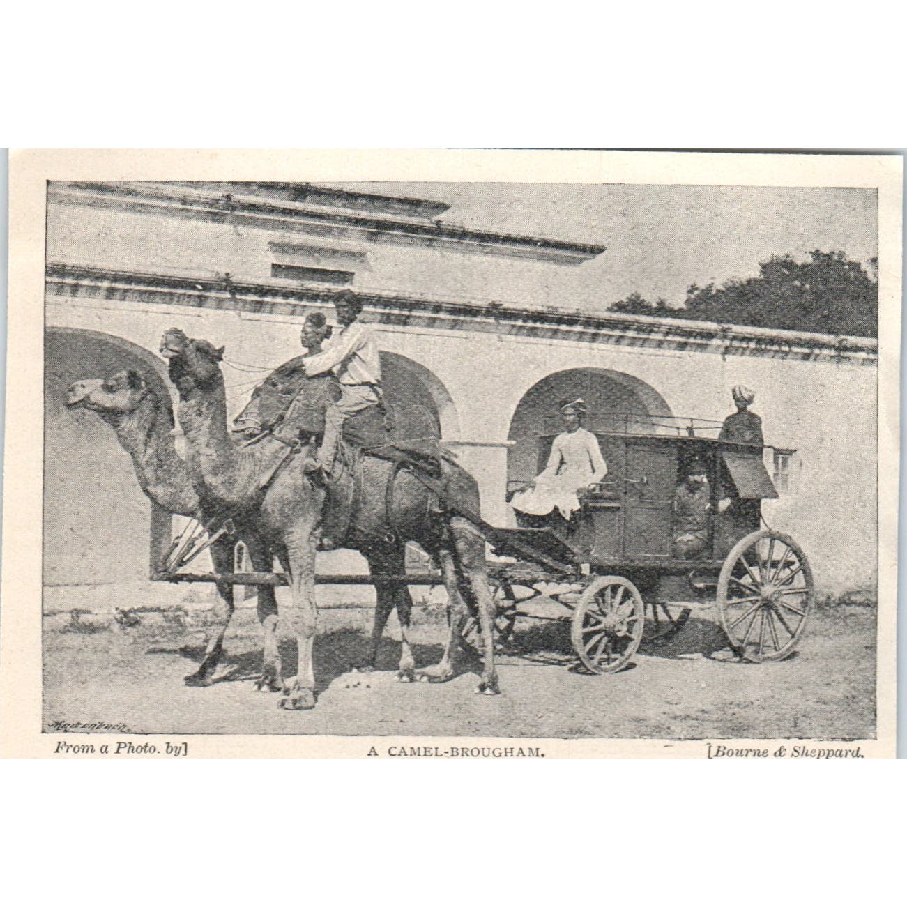 A Camel-Brougham 1897 Victorian Photo AE9-TS8