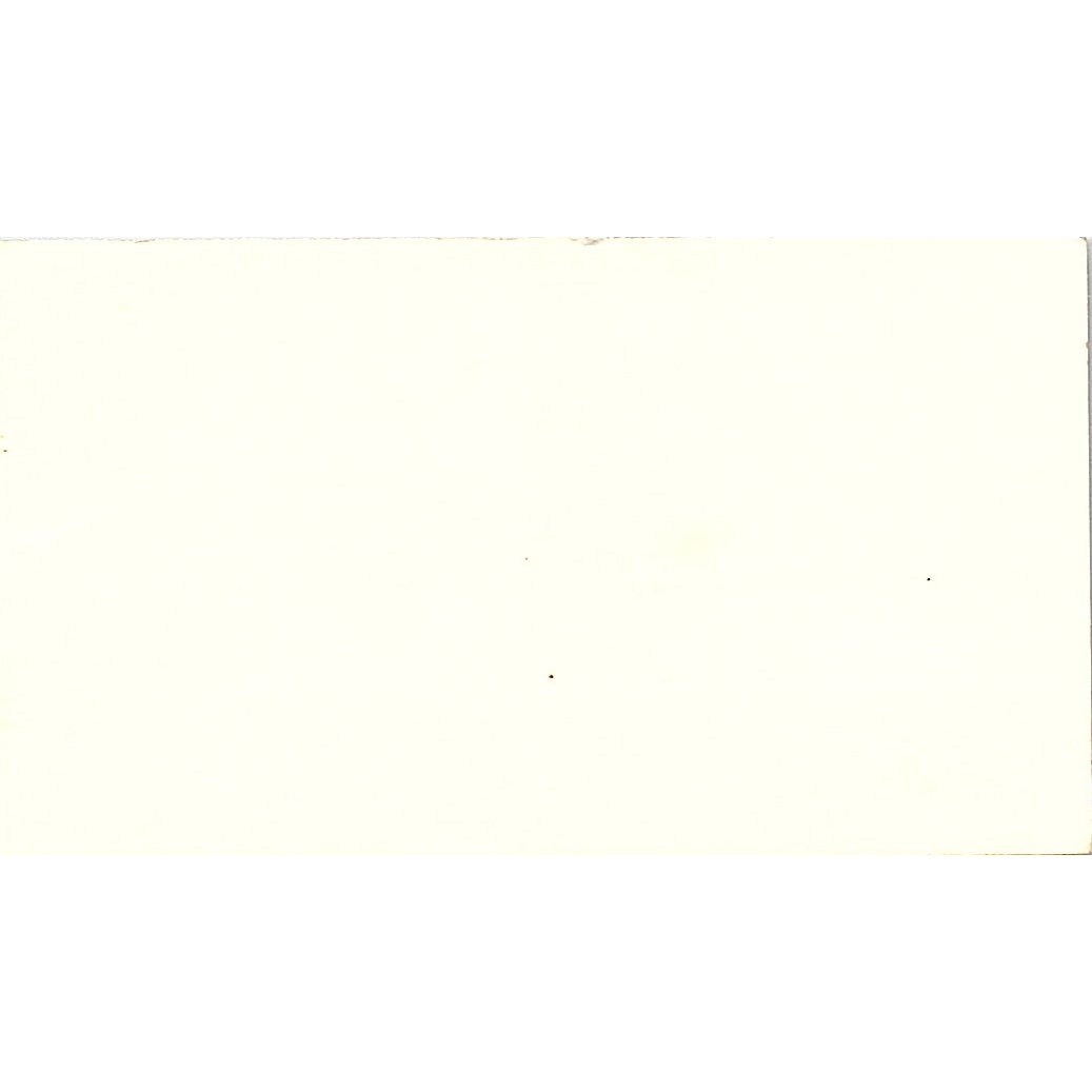 Lolita Chandler Metagram America Houston Vintage Business Card SD9-B7