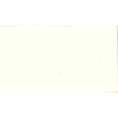 Lolita Chandler Metagram America Houston Vintage Business Card SD9-B7