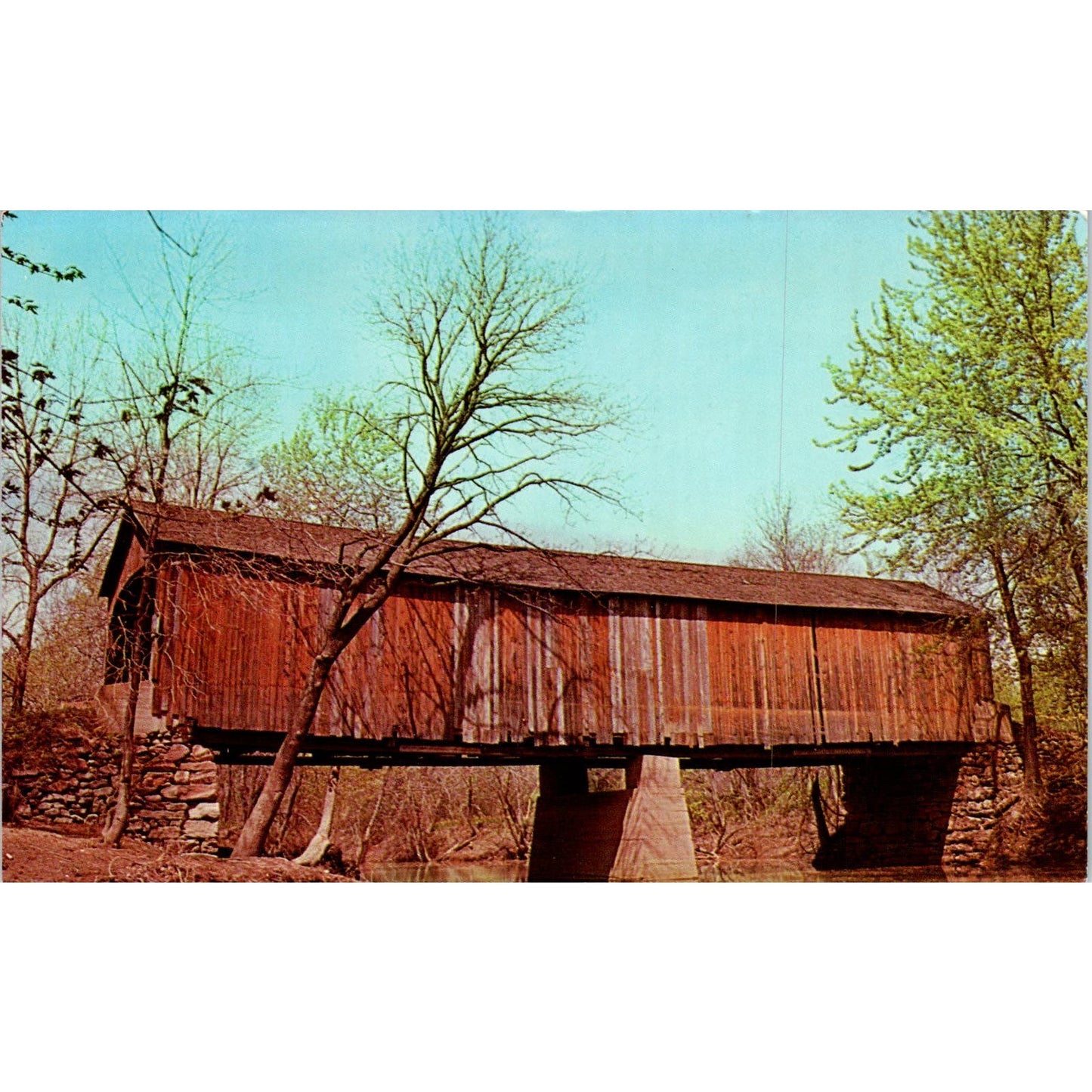 Fort River Bridge Skinner State Park Pioneer Valley Covered Bridge Postcard PB13