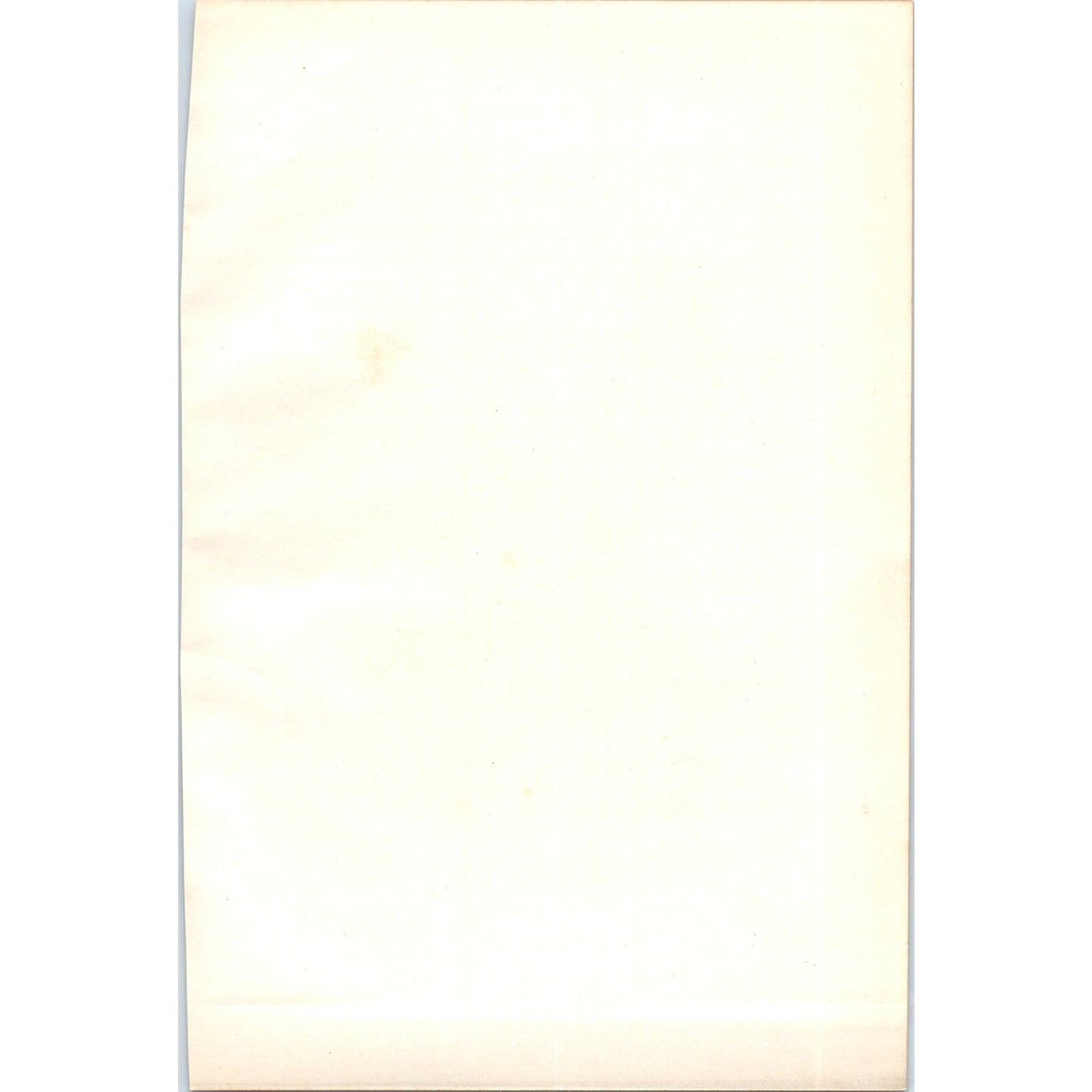 White-Tailed Eagle Bird 1903 Original Color Engraving Plate Print AD8-B7