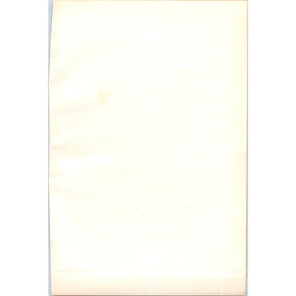 White-Tailed Eagle Bird 1903 Original Color Engraving Plate Print AD8-B7