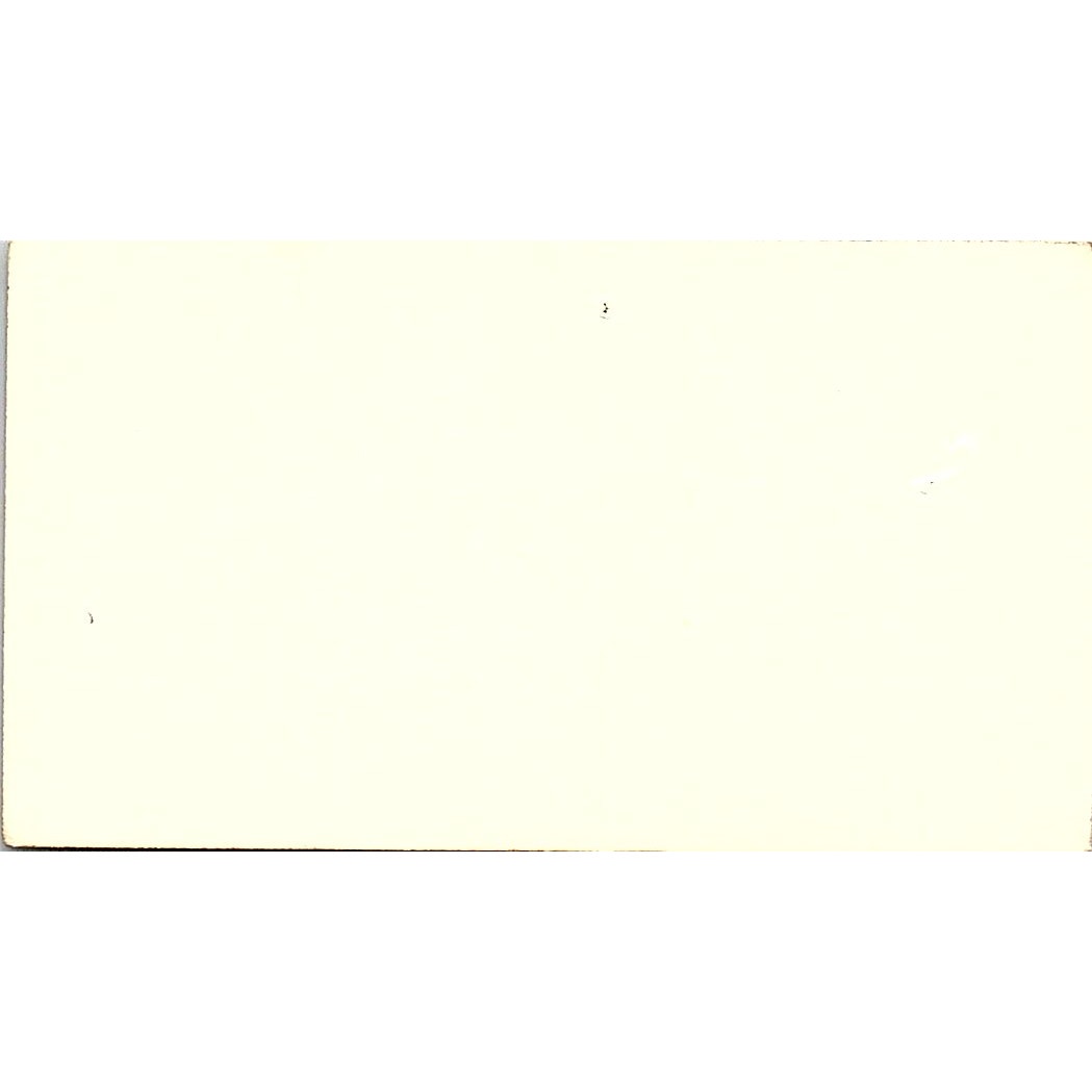 Drew Powell Roy S Gomez Texas Foreign Auto Service Houston Business Card SE3-B13