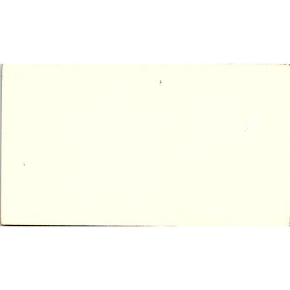 Drew Powell Roy S Gomez Texas Foreign Auto Service Houston Business Card SE3-B13