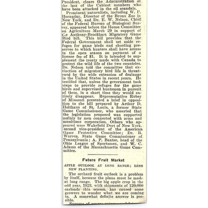 The Witte Engine Works Witte Log-Saw Kansas City Pittsburgh 1924 Ad AG3-H2