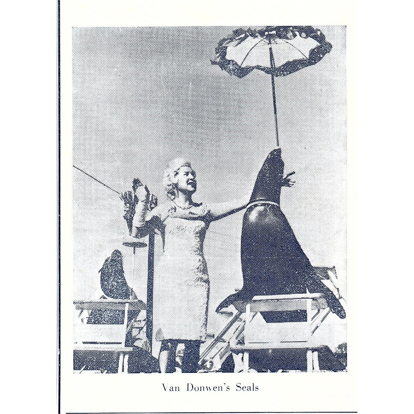 Van Donwen's Seals Mizpah Circus Fort Wayne Indiana 1964 Ad AG1-9