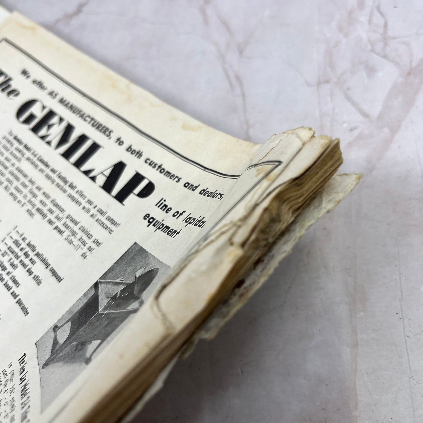 Flowers Cast in Gold R.M. Reynolds - Lapidary Journal Magazine - Aug 1960 M23-1