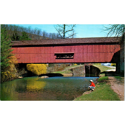 Delaware Canal Bridge Uhlerstown Bucks County PA Vtg Covered Bridge Postcard PD1