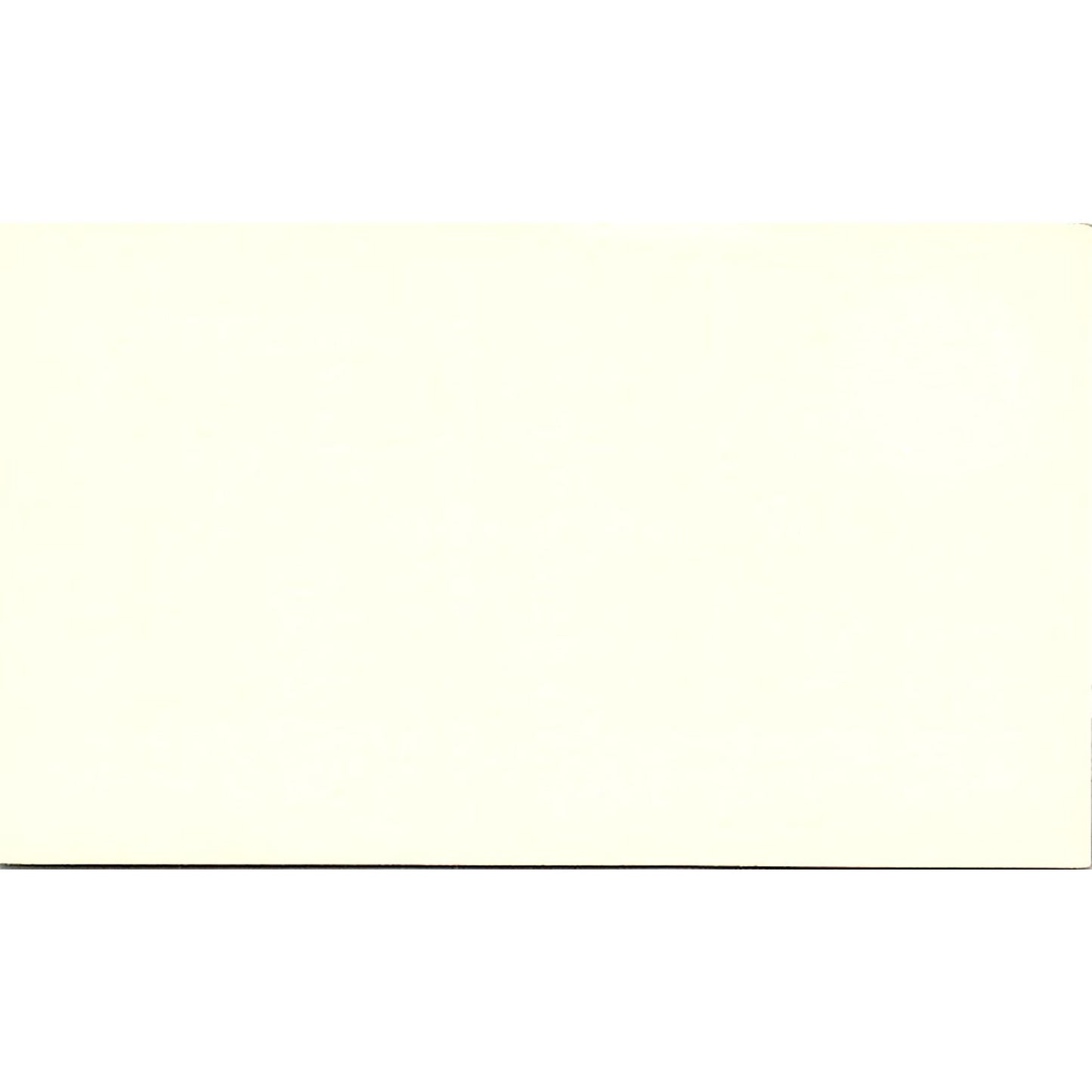 Bryants Termite & Pest Control Jim Bryant Channelview Texas Business Card SB4-B1