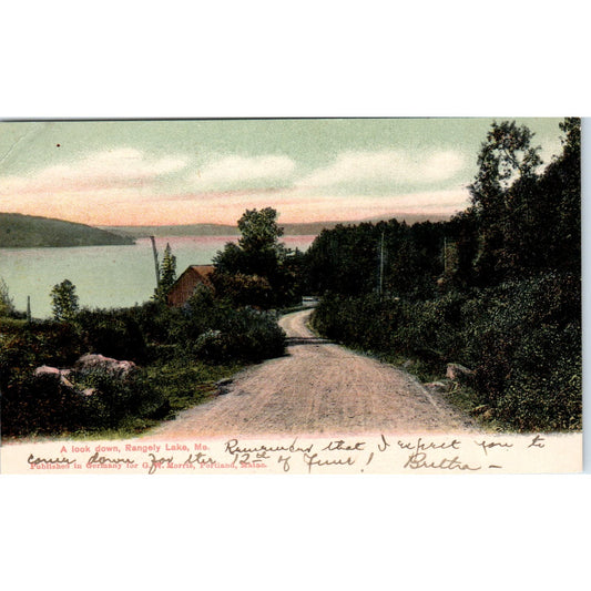 1906 A Look Down Rangeley Lake Maine Original Postcard PC10