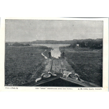 The Swan Descending into the Water Lyngby Denmark 1897 Victorian Photo AE9-TS4