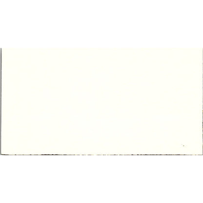 Original Mosaics Wilma Brown Laguna Beach CA Vintage Business Card SF3-B4