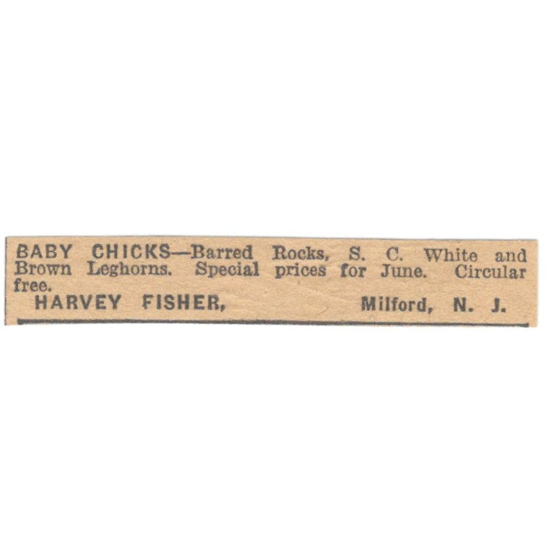 Harvey Fisher Baby Chicks Milford NJ 1922 Magazine Ad AF2-T1