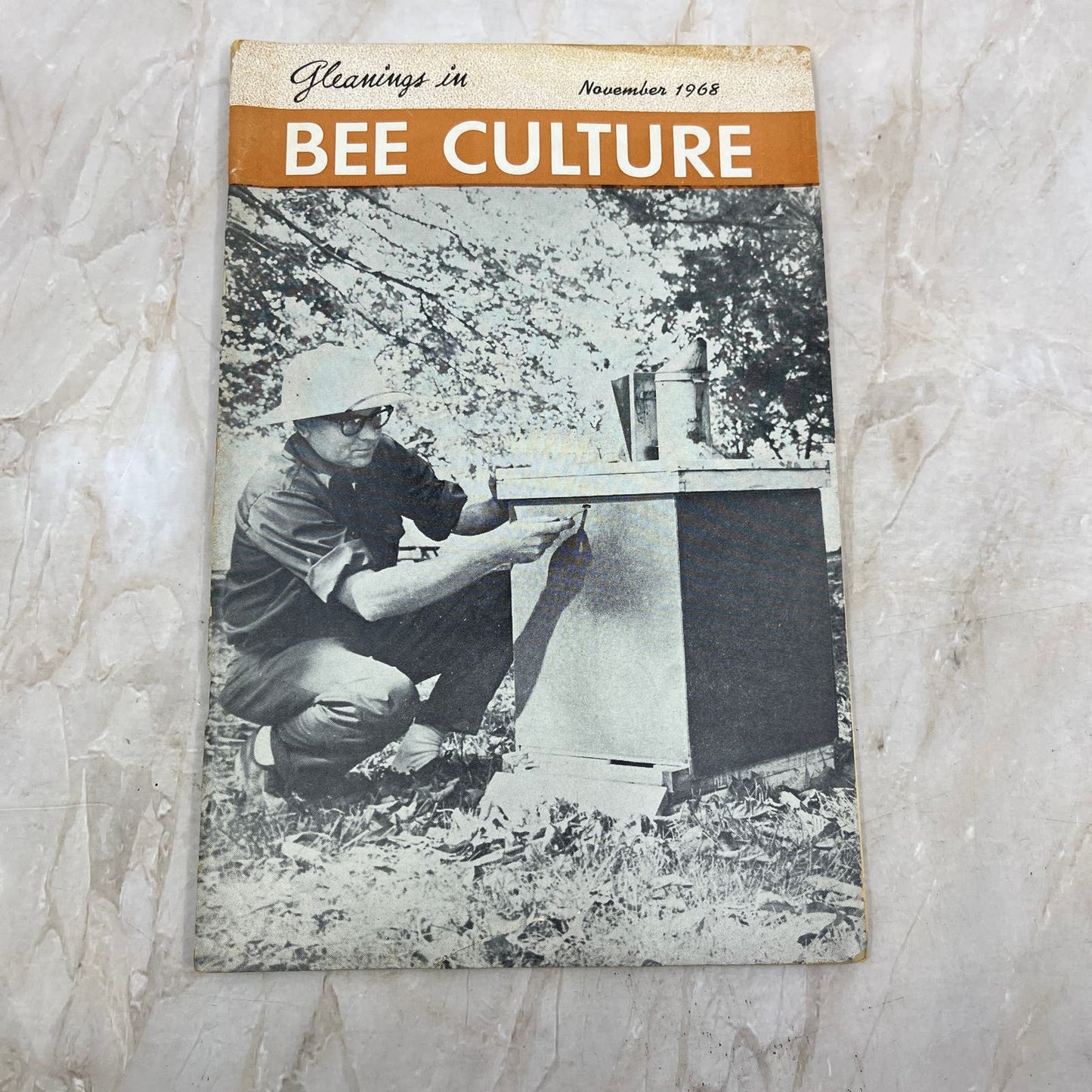 1968 Nov Gleanings in Bee Culture Magazine Bees Beekeeping Honey TD7