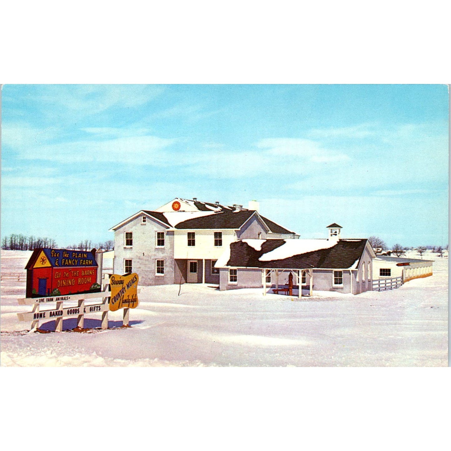 Amish Country Near Intercourse Pennsylvania Dutch Country Vintage Postcard PD5