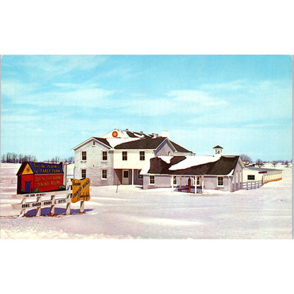 Amish Country Near Intercourse Pennsylvania Dutch Country Vintage Postcard PD5