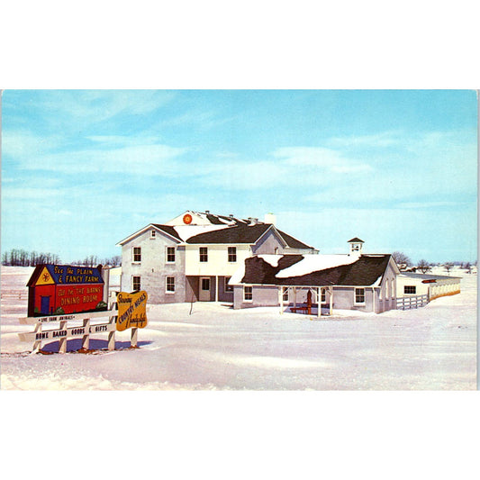 Amish Country Near Intercourse Pennsylvania Dutch Country Vintage Postcard PD5