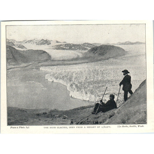 Muir Glacier from a Height of 1800 Feet 1897 Victorian Photo AE9-TS4