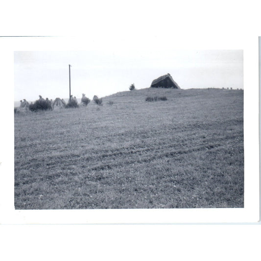 German Bunker in Rural Field c1954 Army Photo AF1-AP5
