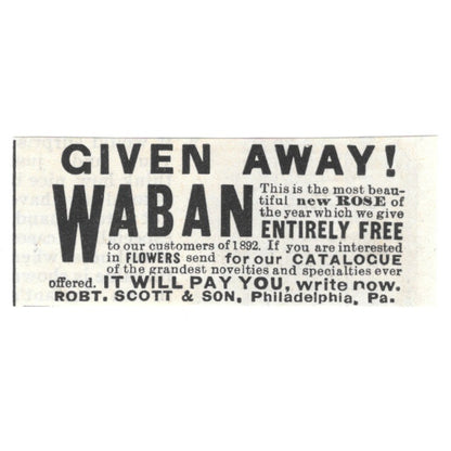 Robert Scott & So Waban Roses Philadelphia PA 1892 Ad AG2-S22