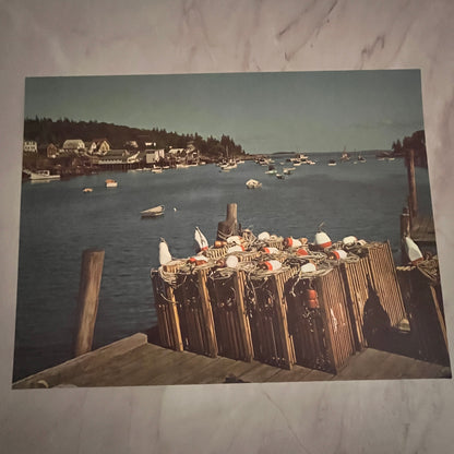 Yacht Boats Looking Toward Harbor Entrance New Harbor Maine 12x16" Art Print FL1